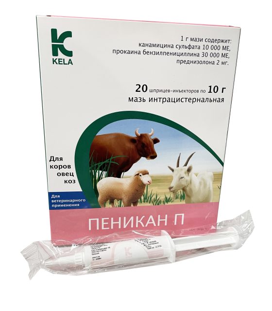 Пеникан П (Бельгия)