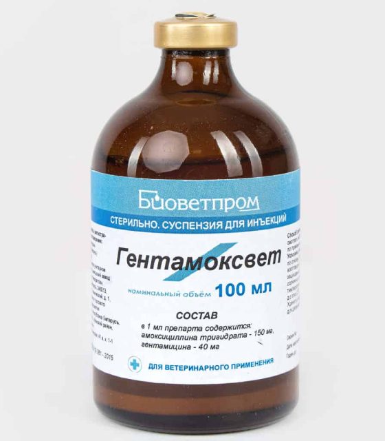 Гентамоксвет (Беларусь)