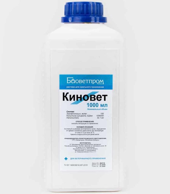 Киновет (Беларусь)