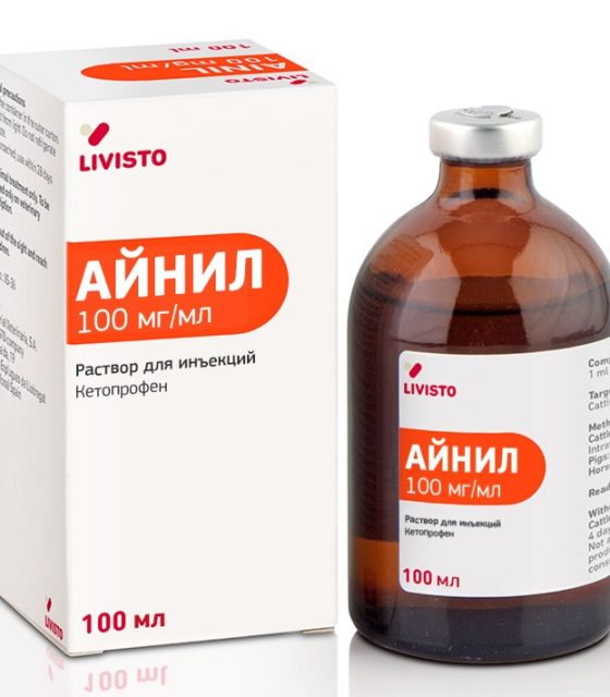 Айнил (Испания)