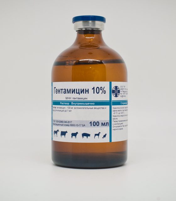 Гентамицин 10% (Беларусь)