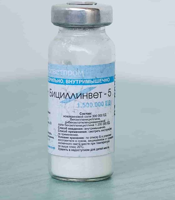 Бициллинвет-5 (Беларусь)