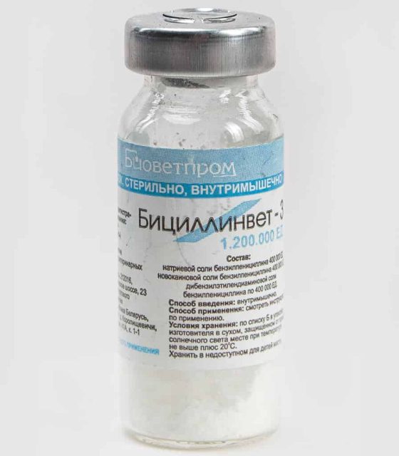 Бициллинвет -3 (Беларусь)