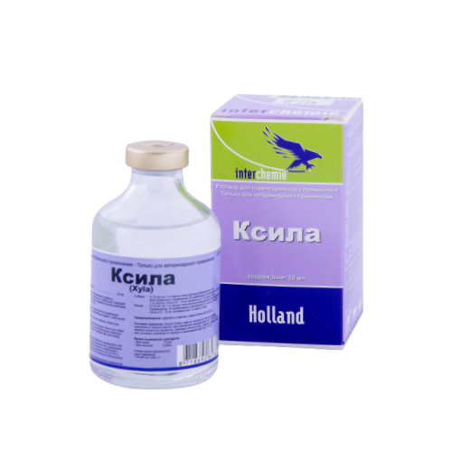 Ксила (Нидерланды)