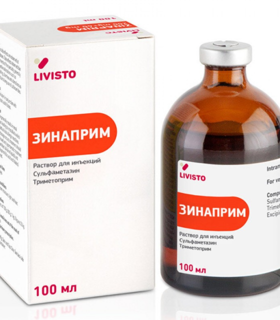 Зинаприм (Испания)