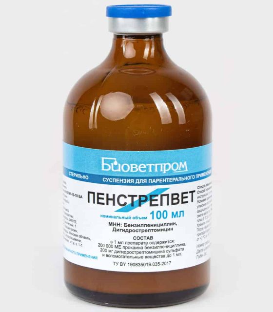 Пенстрепвет (Беларусь)