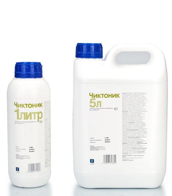 Чиктоник (Испания)