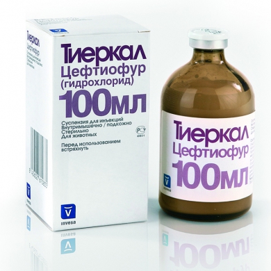 Тиеркал (Испания)