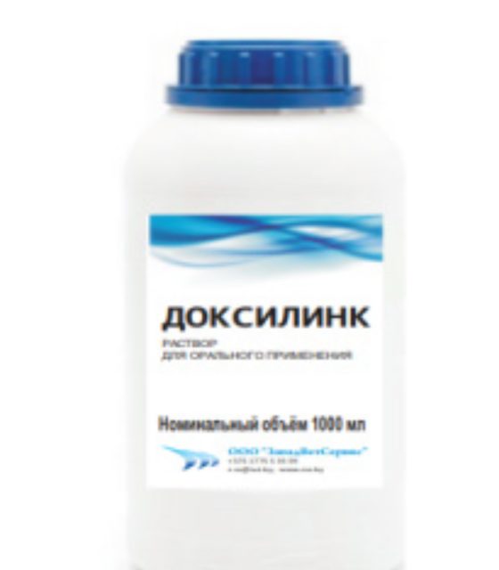 Доксилинк (Беларусь)