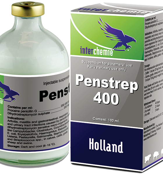 Пенстреп 400 (Нидерланды)