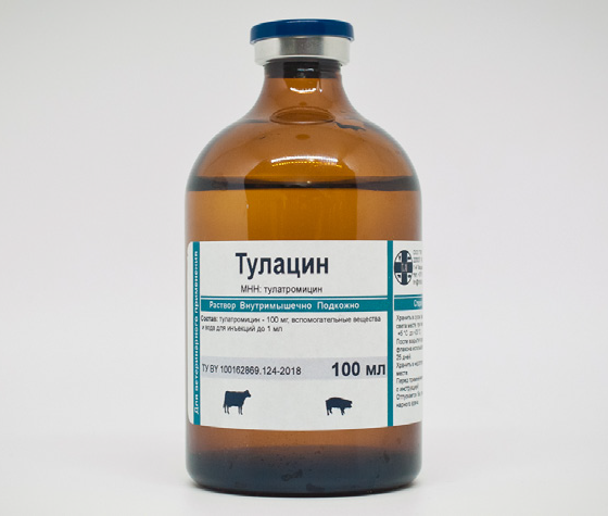 Тулацин (Беларусь)