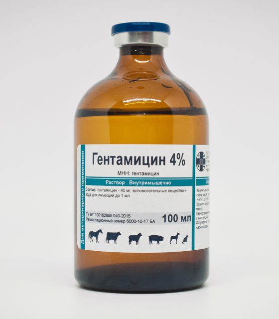 Гентамицин 4% (Беларусь)