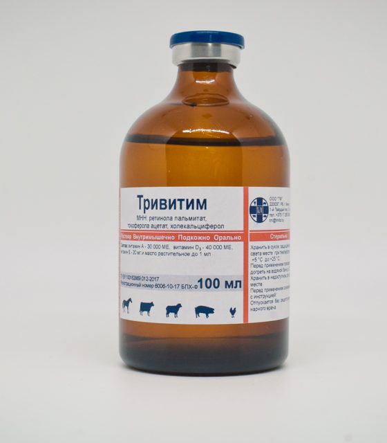 Тривитим (Беларусь)